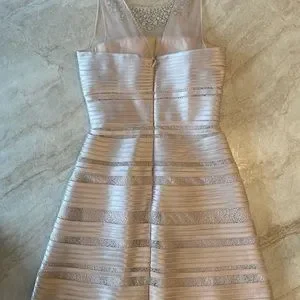 BCBG Dresses Bcbg Bodycon Champagne Dress Perfect For Weddings